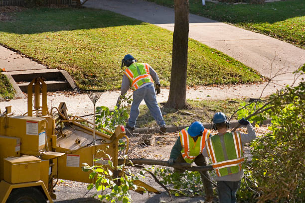 Best Seasonal Cleanup  in Poulsbo, WA